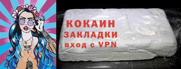 бошки Няндома