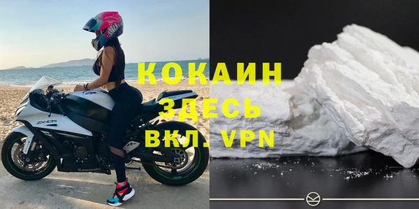 бошки Няндома